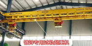 Galvanizing overhead crane