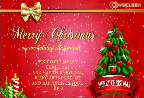 Nucleon Overhead Crane Suppliers wish our client a merry christmas